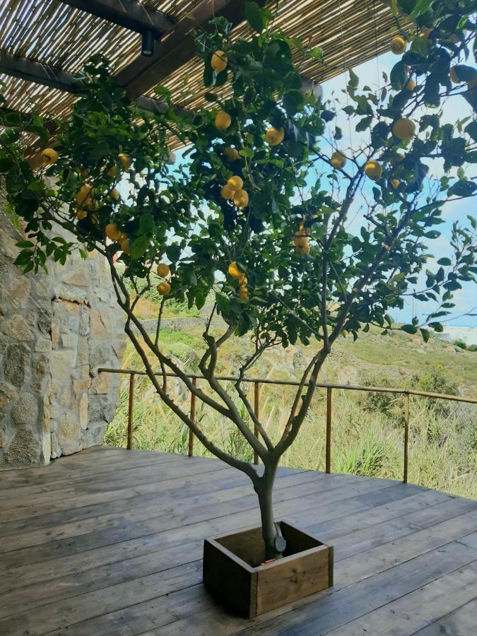 Klidon Dreamy Living Suites Mykonos Town エクステリア 写真